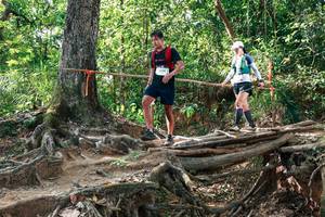 BIB: 
                            <button type="button" onclick="openModal(27558716)" class="btn btn-primary btn-sm float-right btn-popup" data-toggle="modal" data-target=".modal-high-quality">
                        <i class="fas fa-shopping-cart"></i> Add to Cart
                    </button>
                                            <button type="button" onclick="isThisMe(27558716, true)" class="btn btn-success btn-sm float-right btn-popup btn-isme hidden" data-toggle="tooltip" data-placement="bottom" title="นี่คือรูปของคุณใช่ไหม คลิกที่นี่เพื่อเอาเข้าอัลบั้ม">
                        <i class="fas fa-plus"></i> Add to album
                    </button>
                    <button type="button" onclick="isThisMe(27558716, false)" class="btn btn-warning btn-sm float-right btn-popup btn-isnotme hidden">
                        <i class="fas fa-ban"></i> Remove from album
                    </button>